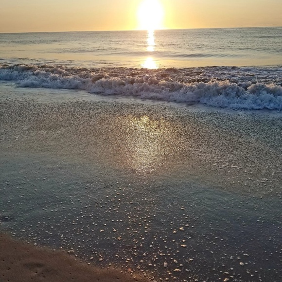 Meet your Posher, April - Picture 1 of 1